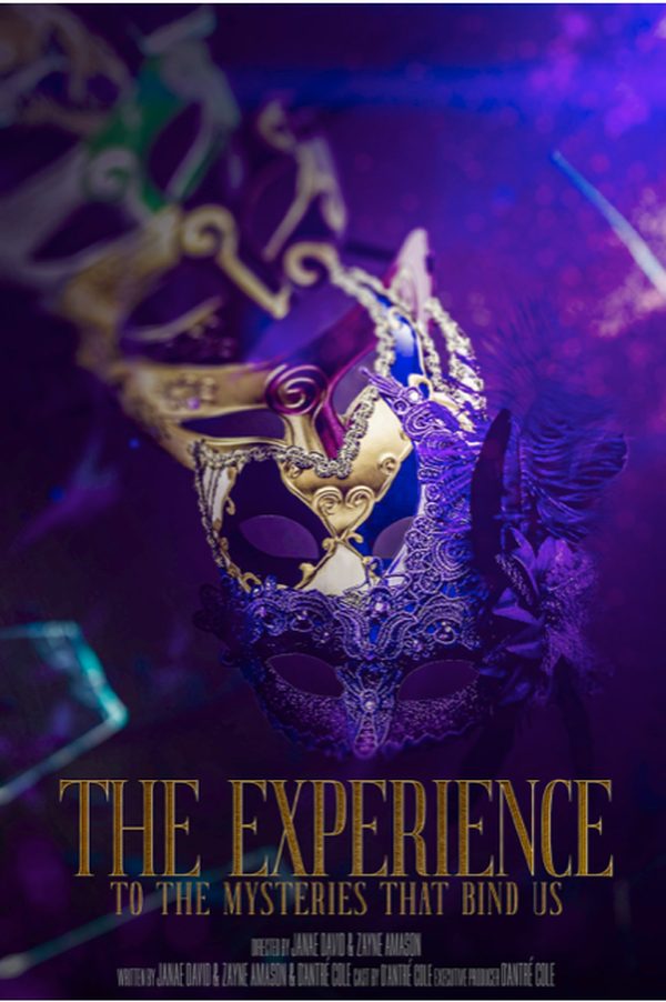 The Experience movie poster